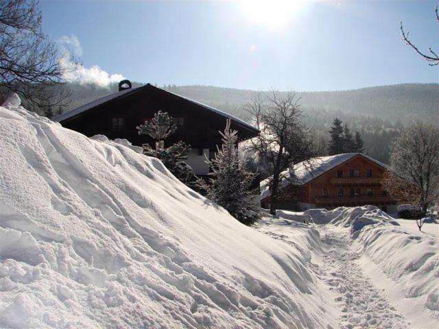 Pension Klose Kubova Huť Exterior foto